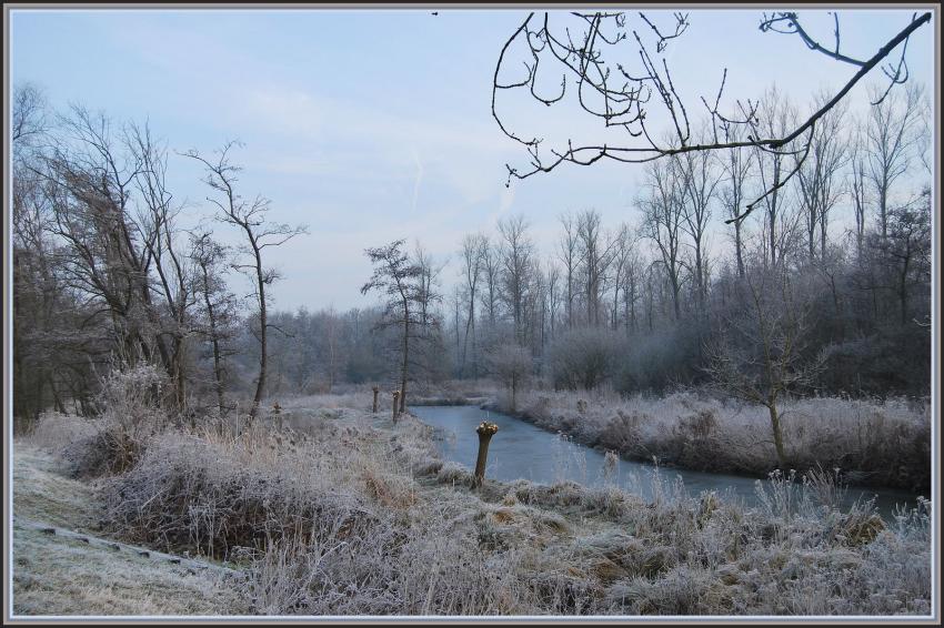 Marais d'Isle à St-Quentin (02)