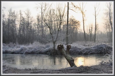 Marais d'Isle à St-Quentin (02)