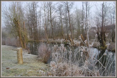 Marais d'Isle à St-Quentin (02)