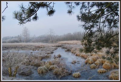 Marais d'Isle à St-Quentin (02)