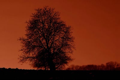 Résultat de recherche: Le rouge et le noir