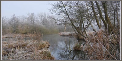 Marais d'Isle à St-Quentin (02)