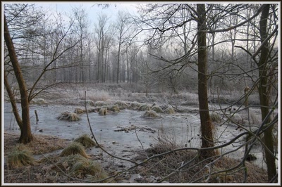 Marais d'Isle à St-Quentin (02)