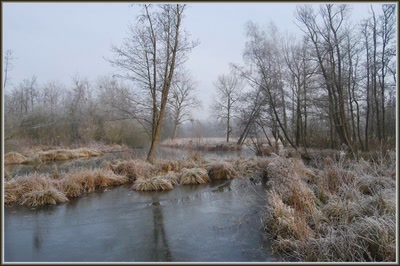 Marais d'Isle à St-Quentin (02)