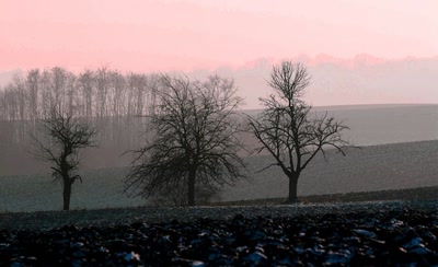 Résultat de recherche: La campagne