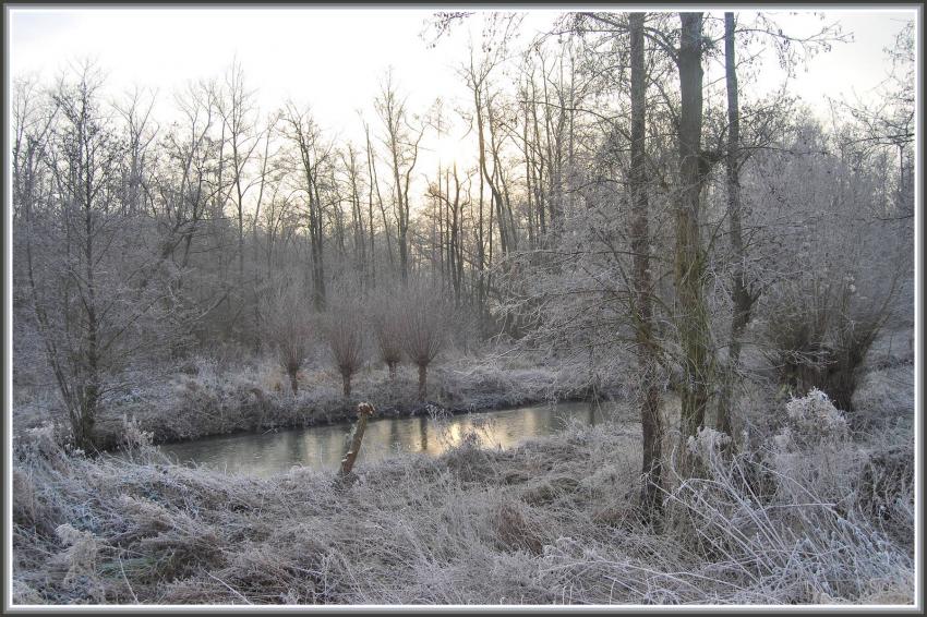 Marais d'Isle à St-Quentin (02)