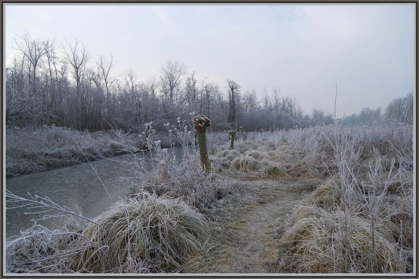 Marais d'Isle à St-Quentin (02)