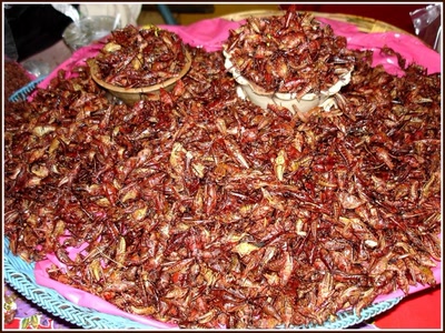 Sauterelles grillées au Mexique