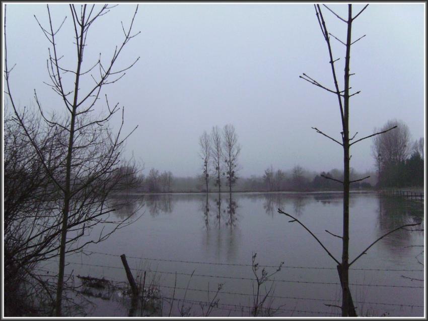 Séry-les-Mézières (02) Pâture gelée.