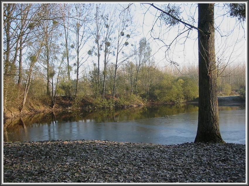 Séry-les-Mézières (02) Petit étang gelé.