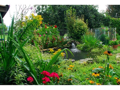 Œuvre de guyjass: BASSIN FLEURI