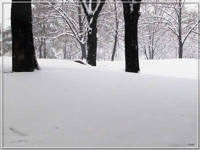 Résultat de recherche: Neige 12209b