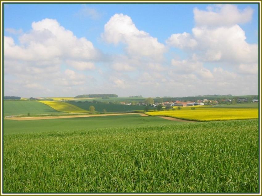 Plaine saint-quentinoise (02)