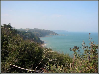 Pointe du Roselier (22)