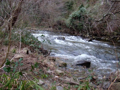 Résultat de recherche: riviere audoise