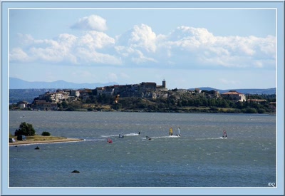 Résultat de recherche: Réserve naturelle du Narbonnais