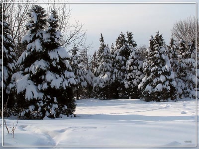 Résultat de recherche: Neige 19209 3b