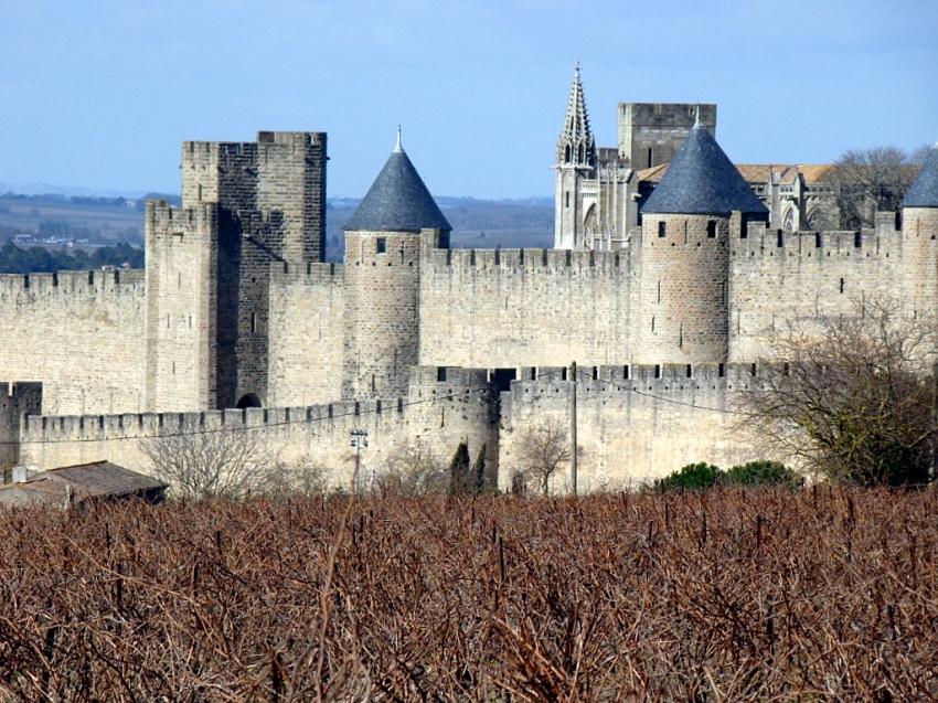 la citée de Carcassonne et ses vignes