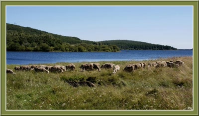 Au bord du la de Vésoles