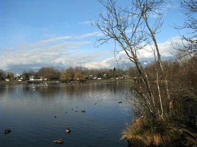 Résultat de recherche: Trout Lake Vancouver Canada