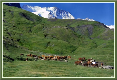 Résultat de recherche: LaGrave,Plateau de Paris