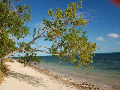 Résultat de recherche: bord de mer