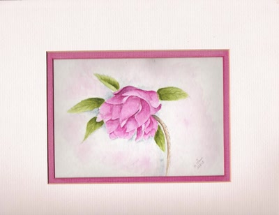 Résultat de recherche: HELLEBORE TETE BAISSEE