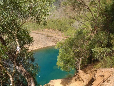 Résultat de recherche: niaoulis