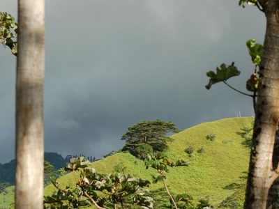 Résultat de recherche: contraste