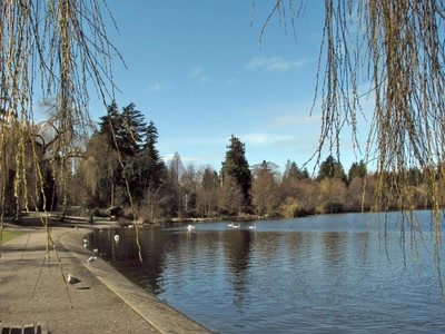 Résultat de recherche: Parc Stanley et son Lost Lagoon, Vancouver -3-