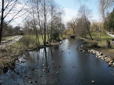 Résultat de recherche: Parc Stanley et son Lost Lagoon, Vancouver -9--
