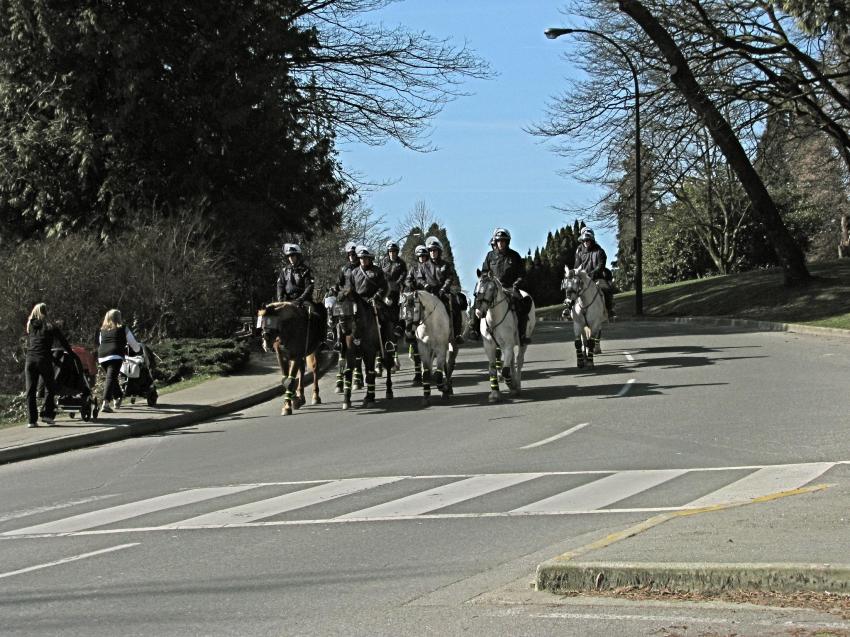 RCMP - Police montée de Vancouver -4-
