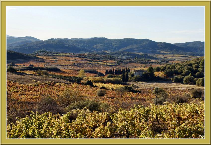 Paysage des Corbières