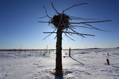 Résultat de recherche: Contre jour.