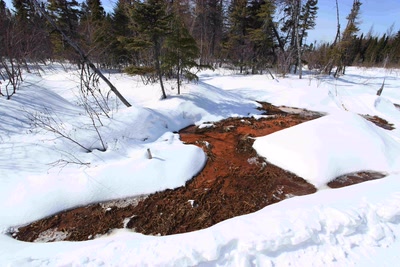 Résultat de recherche: Temps doux.