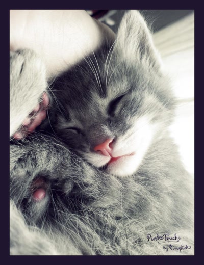 Œuvre de Emystick: Doux moment