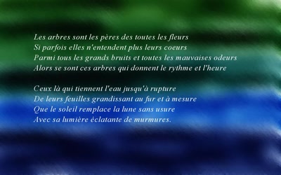 Résultat de recherche: arbres