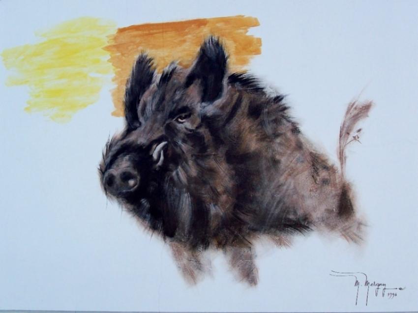 a Fauvillers(b) n°2