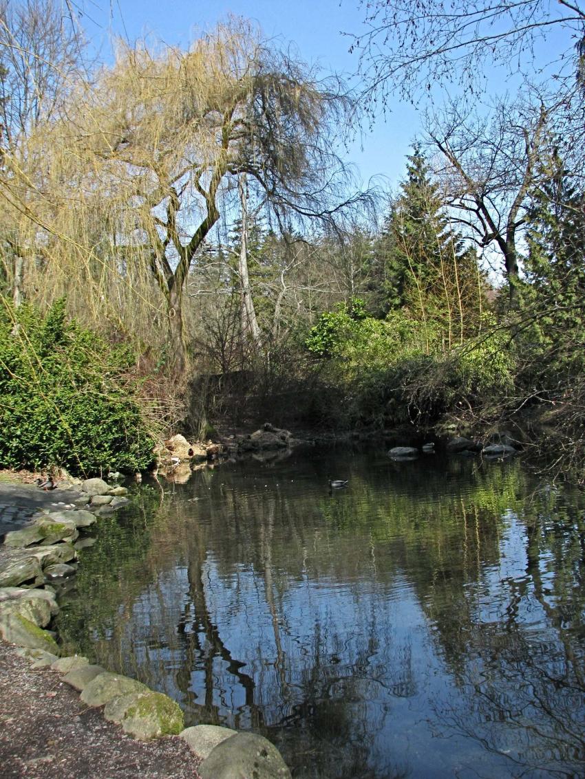 Parc Stanley près de l'Aquarium, Vancouver