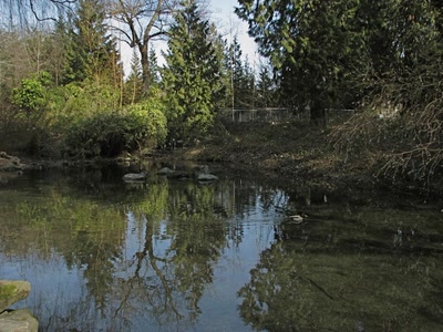 Résultat de recherche: Parc Stanley près de l'Aquarium, Vancouver -1-