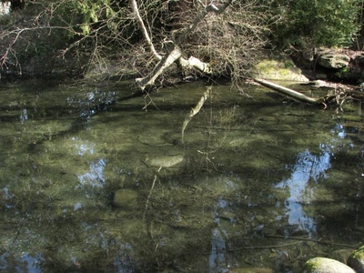 Résultat de recherche: Comme un insecte géant