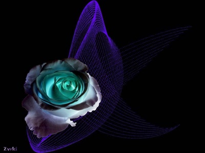 Résultat de recherche: Rose