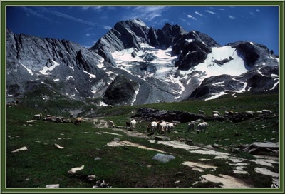 Résultat de recherche: Pralognan la Vanoise