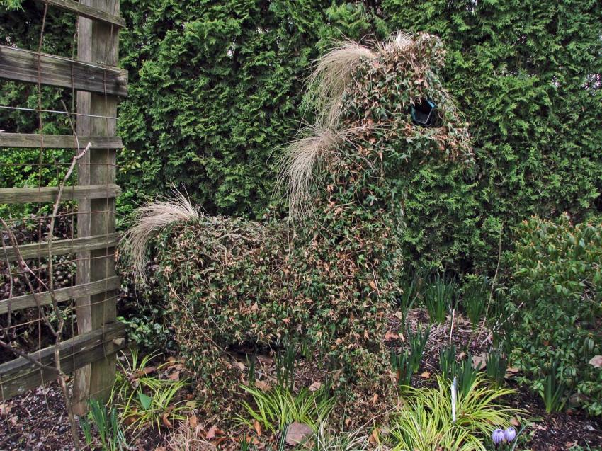 Poney au jardin botanqiue