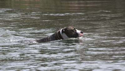 Résultat de recherche: Elle est bonne...