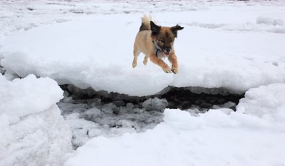Résultat de recherche: Mon bon ami.