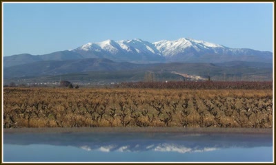 Résultat de recherche: Le Canigou (dans les Pyrénées orientales)