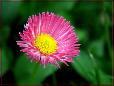 Résultat de recherche: Paquaret 16409