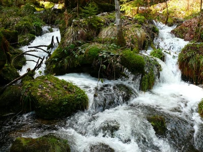 Résultat de recherche: cascade
