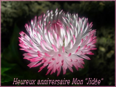 Œuvre de Talou: Paquerette